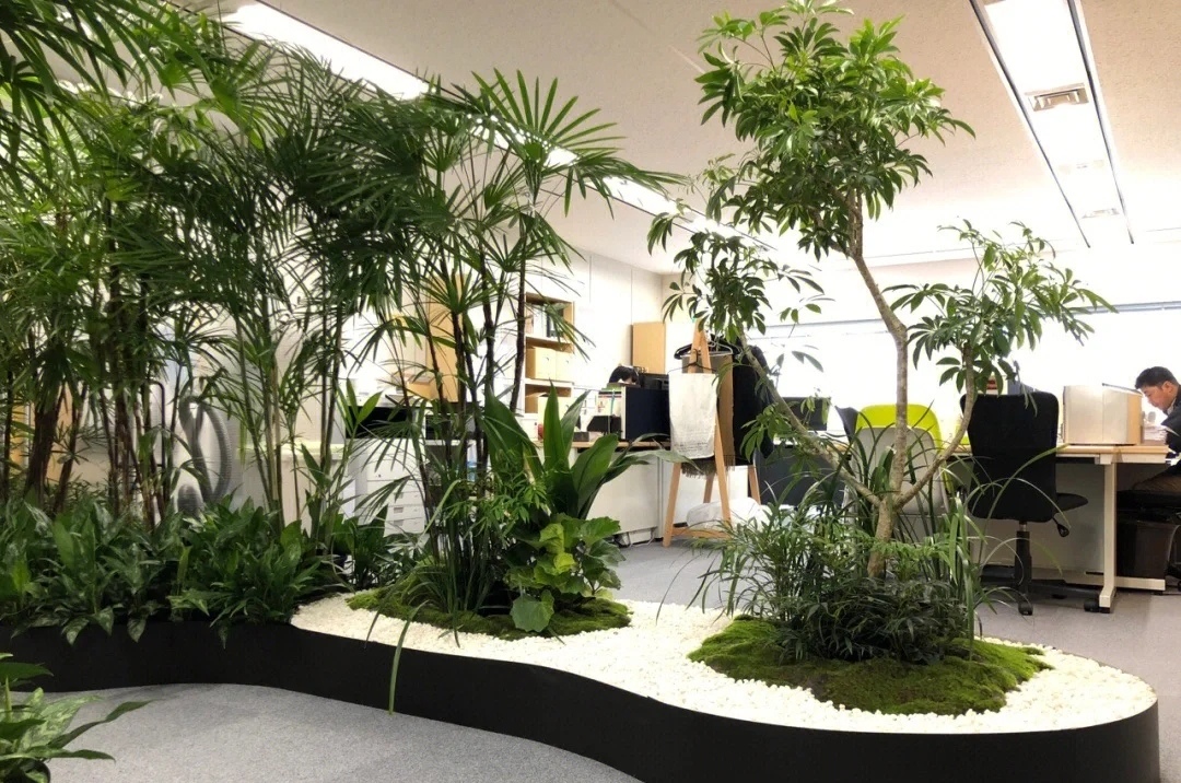 长沙花卉租摆——长沙绿植租摆-办公楼绿植租摆-室内花境设计-室内植物造景 - 长沙花卉租摆-新憧憬园艺