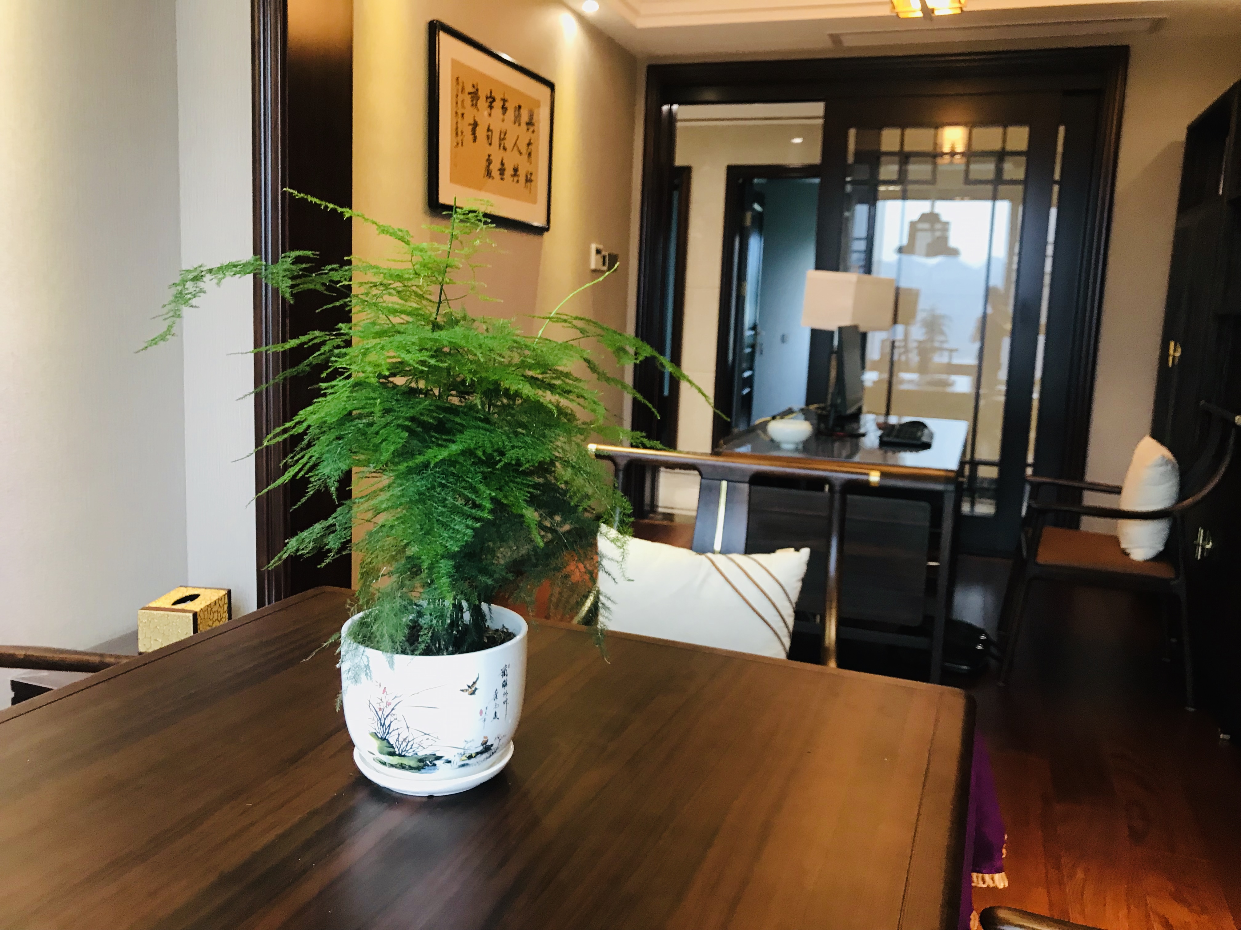 长沙花卉租摆-家庭租花 - 长沙花卉租摆-新憧憬园艺
