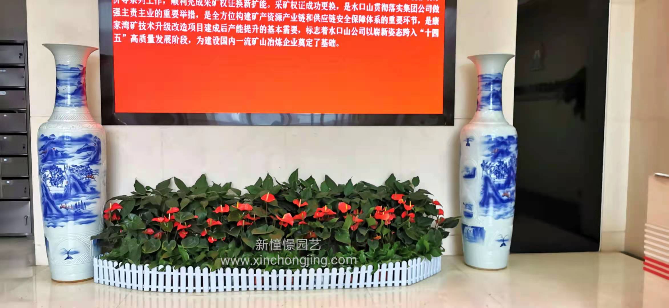 长沙花卉租摆——绿植租摆-办公楼摆花-公司总部摆花-五矿有色集团 - 长沙花卉租摆-新憧憬园艺