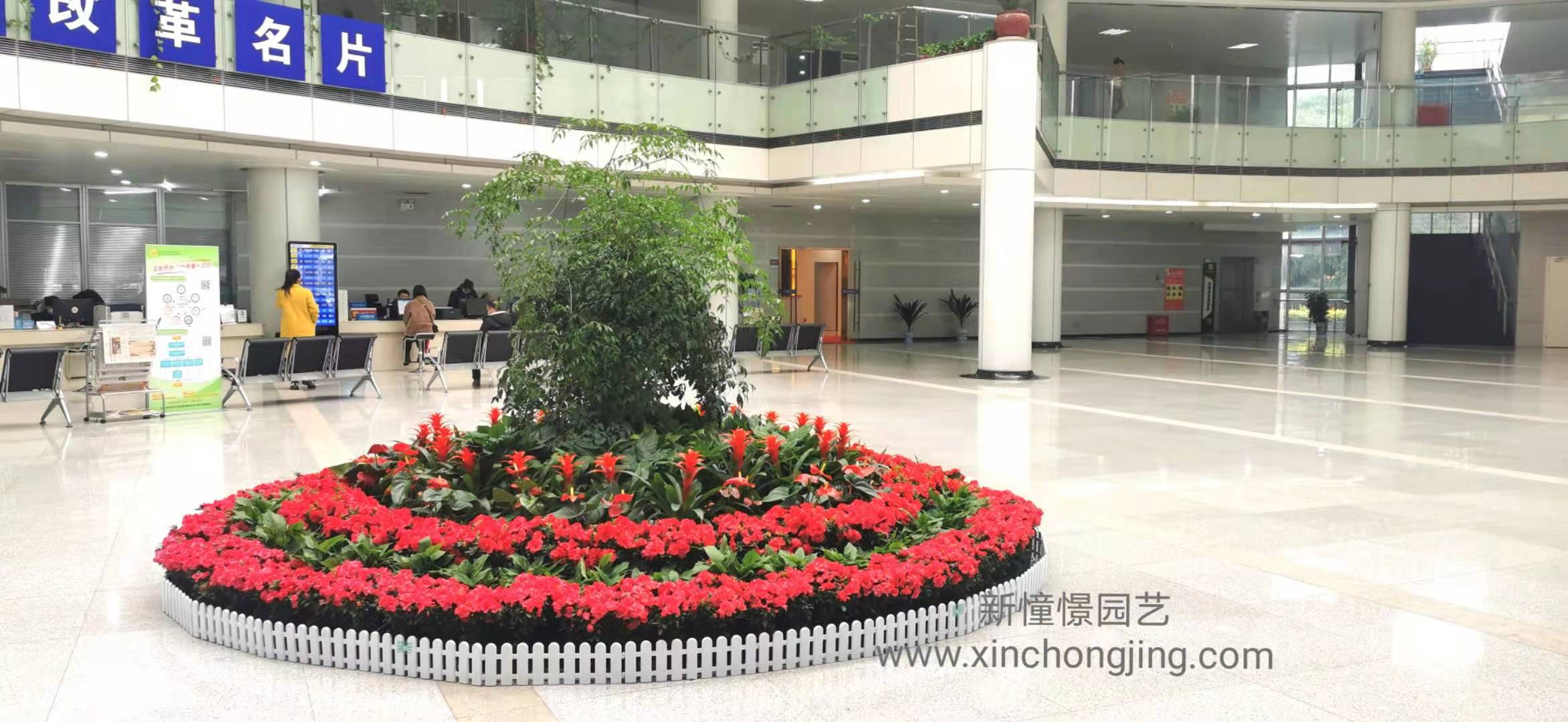 长沙花卉租摆-春节摆花-长沙经开区 - 长沙花卉租摆-新憧憬园艺
