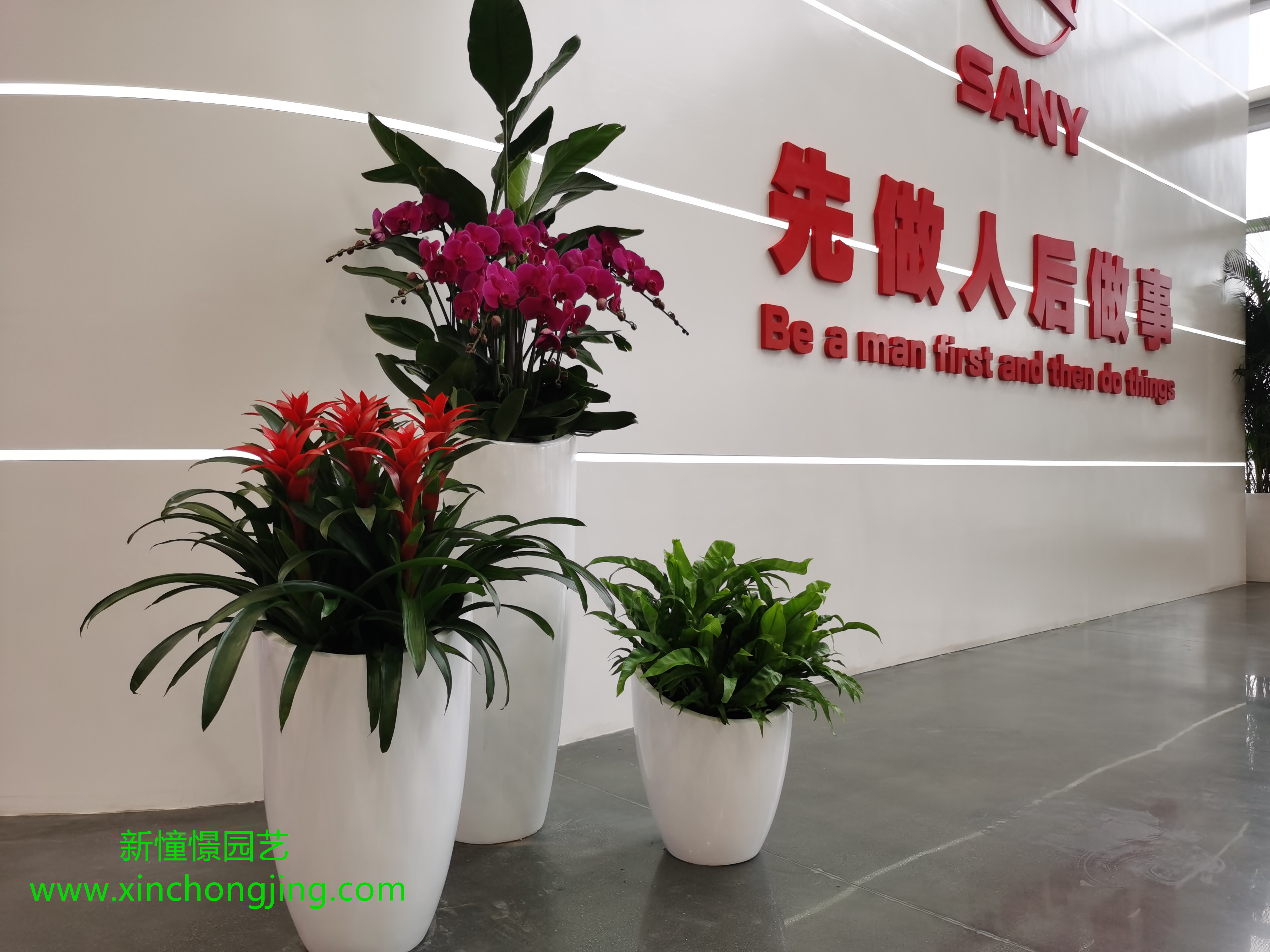 长沙花卉租摆——工业园区摆花-绿植租摆-办公楼摆花-公司总部摆花-三一重工 - 长沙花卉租摆-新憧憬园艺