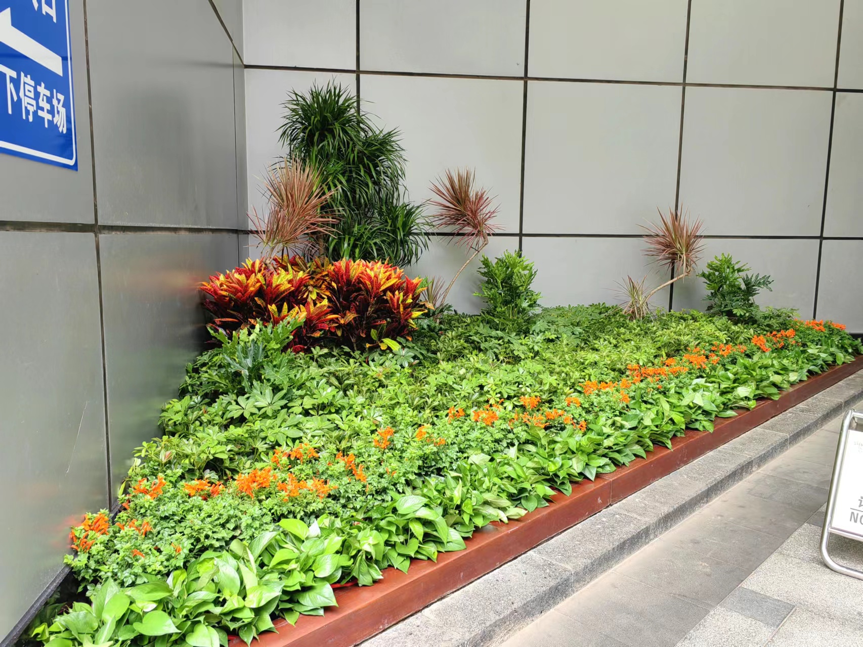 长沙花卉租摆——绿植租摆——星级酒店摆花——长沙运达喜来登酒店 - 长沙花卉租摆-新憧憬园艺