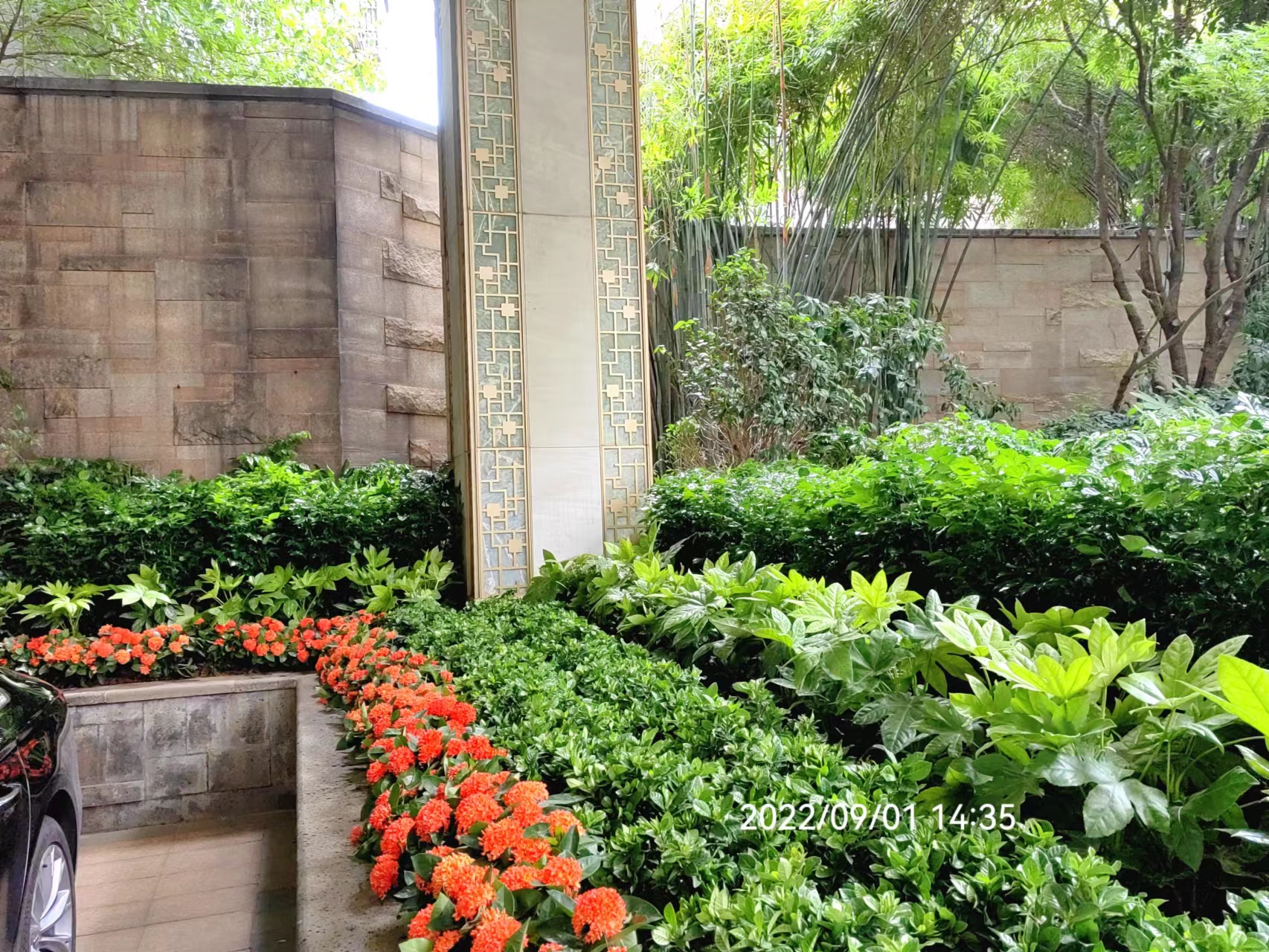 长沙花卉租摆——绿植租摆——星级酒店摆花——长沙运达喜来登酒店 - 长沙花卉租摆-新憧憬园艺