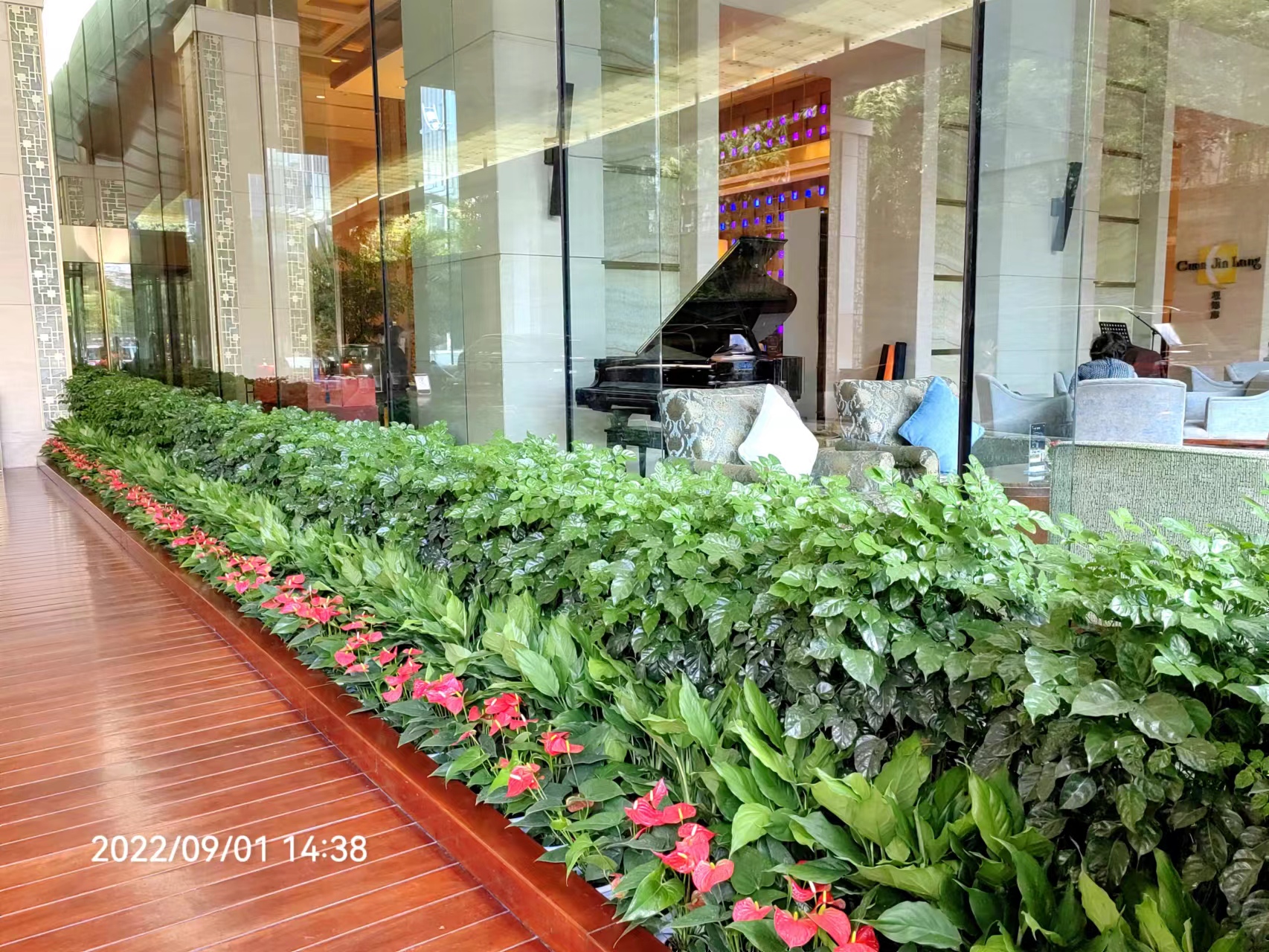 长沙花卉租摆——绿植租摆——星级酒店摆花——长沙运达喜来登酒店 - 长沙花卉租摆-新憧憬园艺