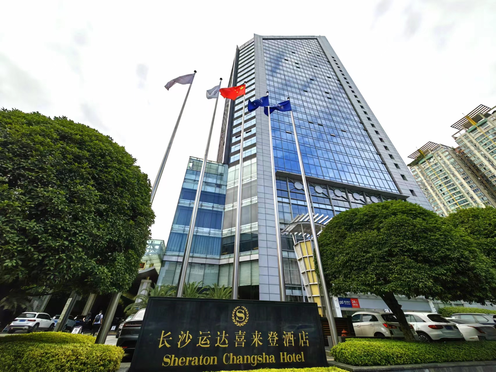 长沙花卉租摆——绿植租摆——星级酒店摆花——长沙运达喜来登酒店 - 长沙花卉租摆-新憧憬园艺
