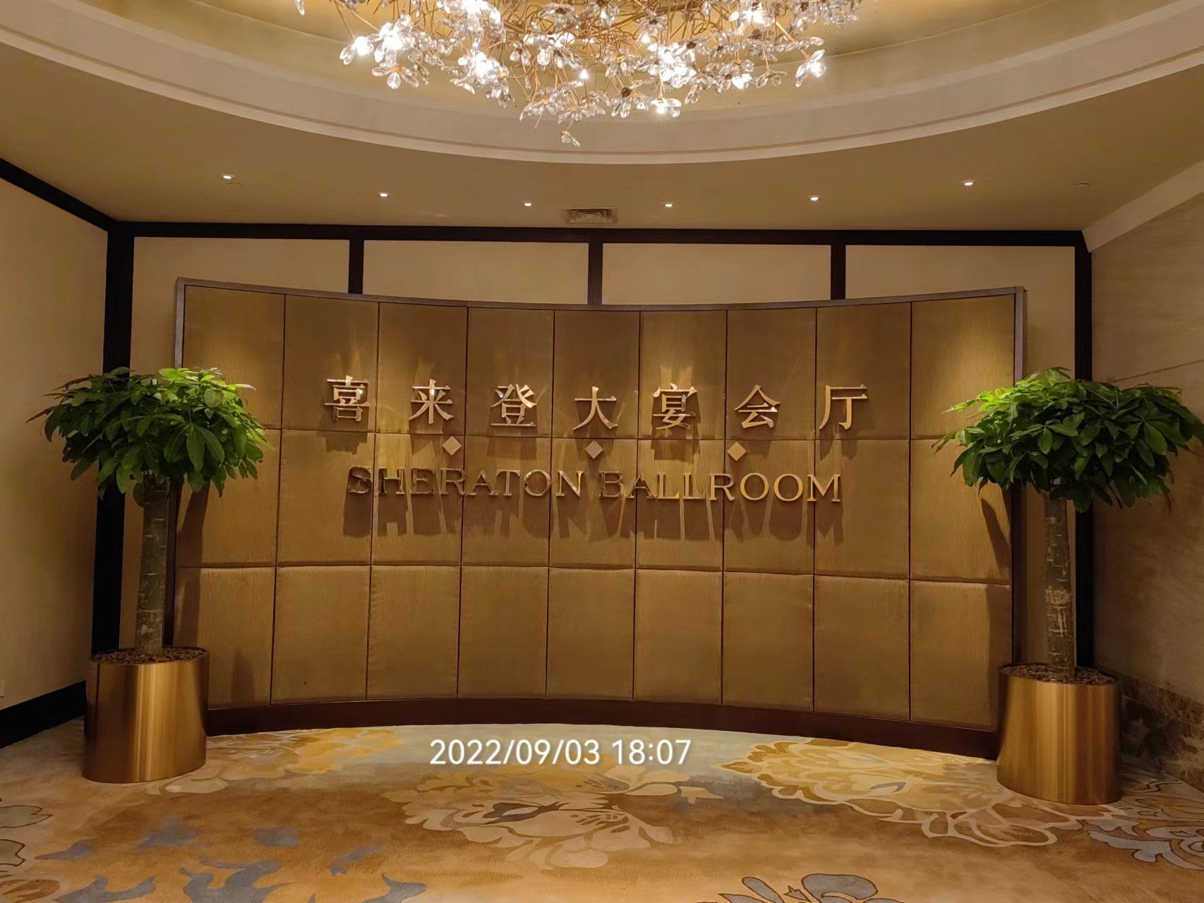 长沙花卉租摆——绿植租摆——星级酒店摆花——长沙运达喜来登酒店 - 长沙花卉租摆-新憧憬园艺