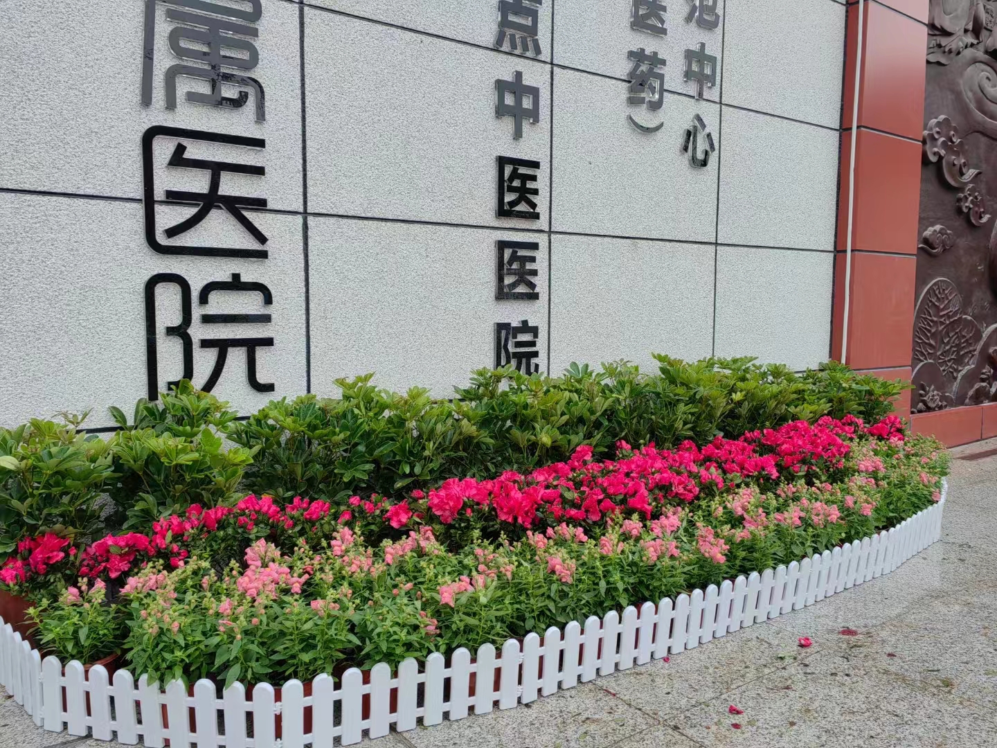 长沙花卉租摆——-绿植租摆-医院花卉摆花-湖南中医药大学附属第一医院花卉租摆 - 长沙花卉租摆-新憧憬园艺