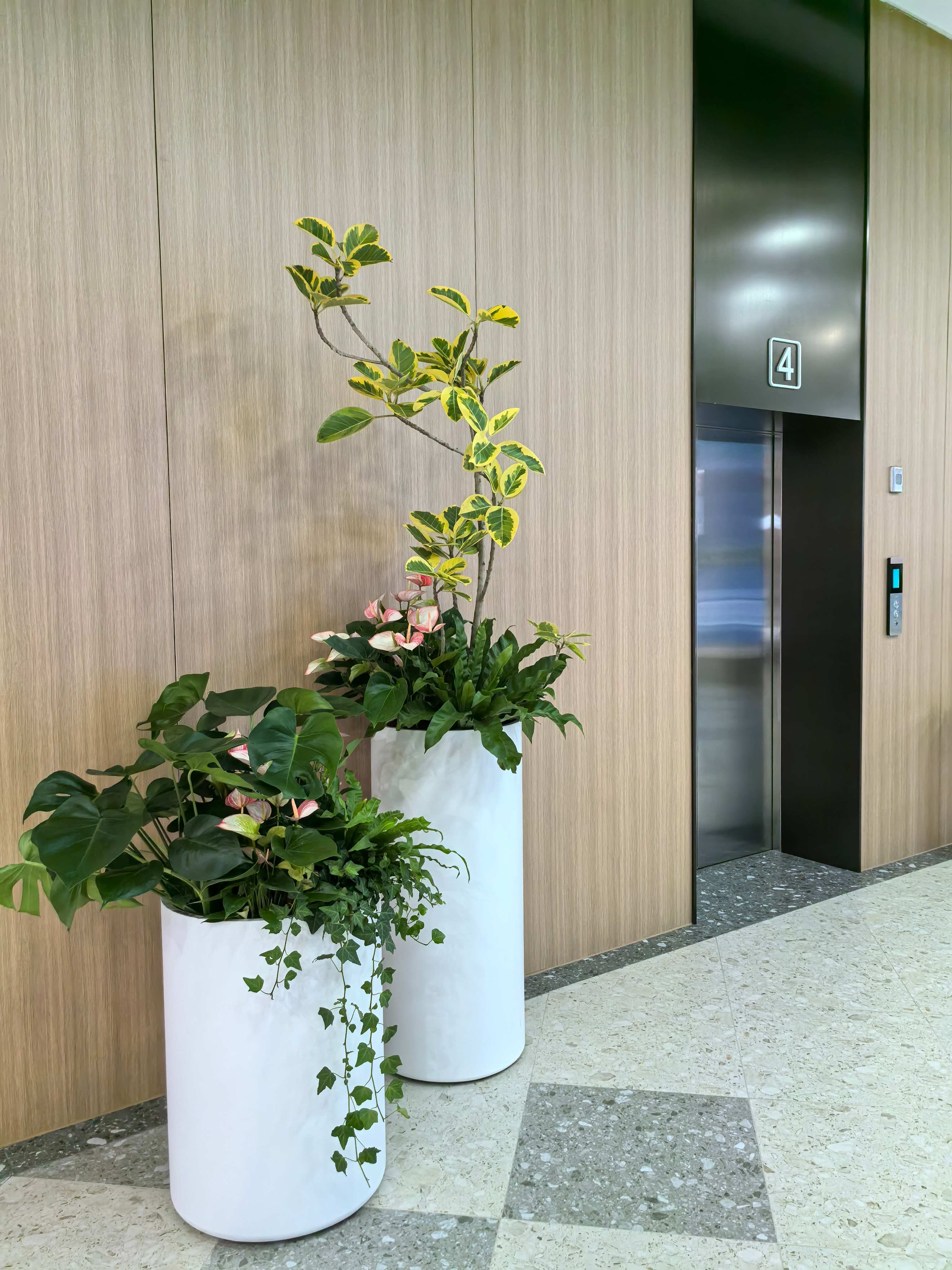 长沙花卉租摆-长沙绿植租赁-新憧憬园艺-商场花卉租摆-商场绿植景观-长沙杉杉奥特莱斯 - 长沙花卉租摆-新憧憬园艺