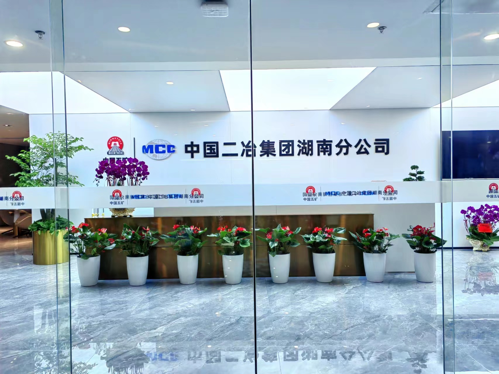 长沙花卉租摆——办公楼绿植租摆-绿植租摆-办公楼摆花-中国二冶集团湖南分公司 - 长沙花卉租摆-新憧憬园艺