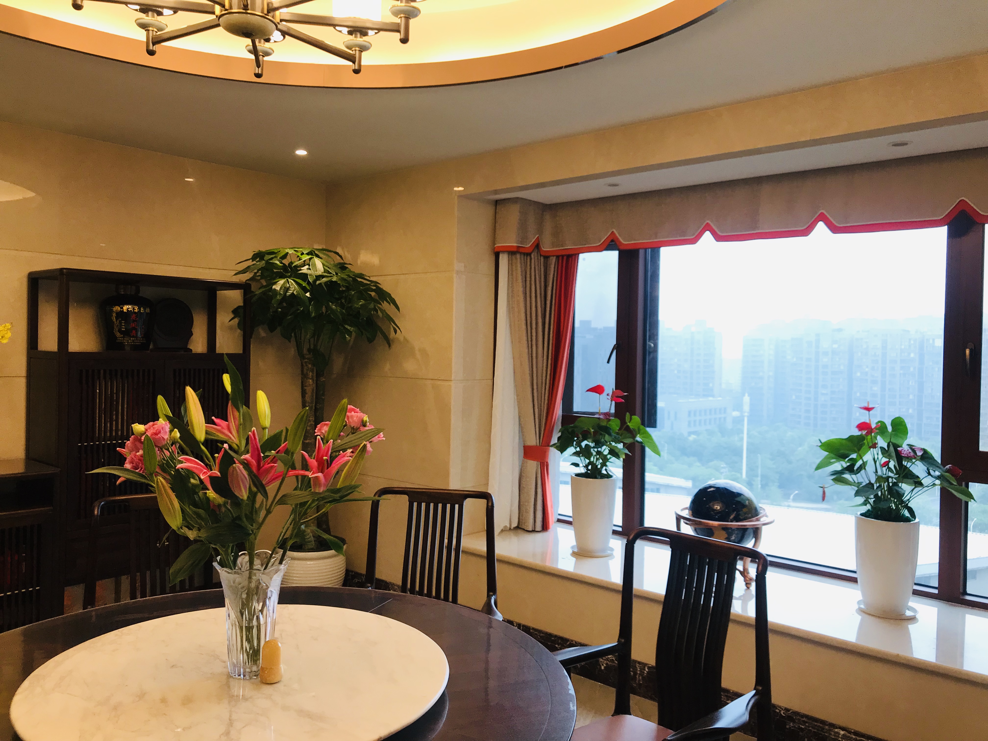长沙花卉租摆-家庭租花 - 长沙花卉租摆-新憧憬园艺