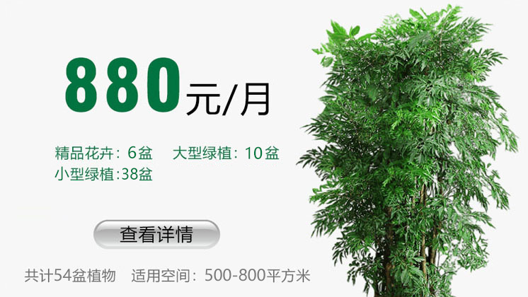 880元套餐