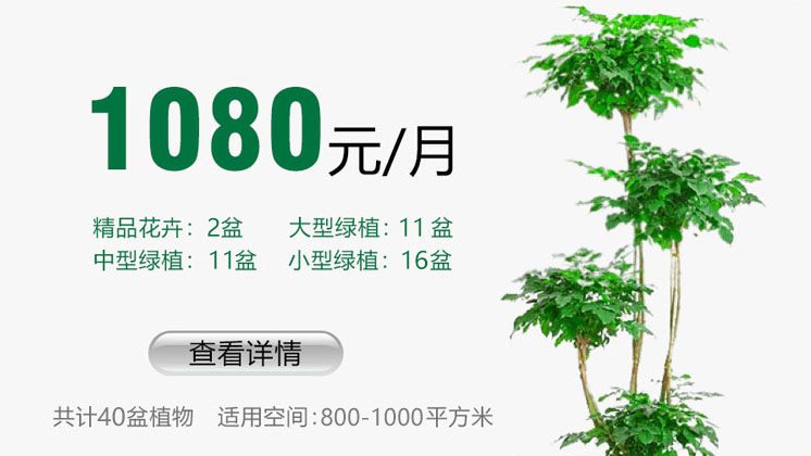 1080元套餐