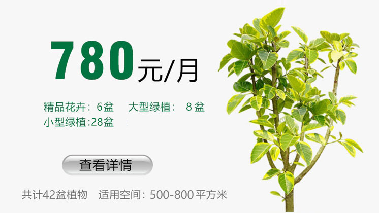 780元套餐