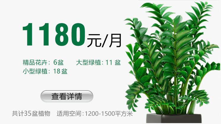 1180元套餐