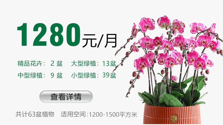 1280元套餐