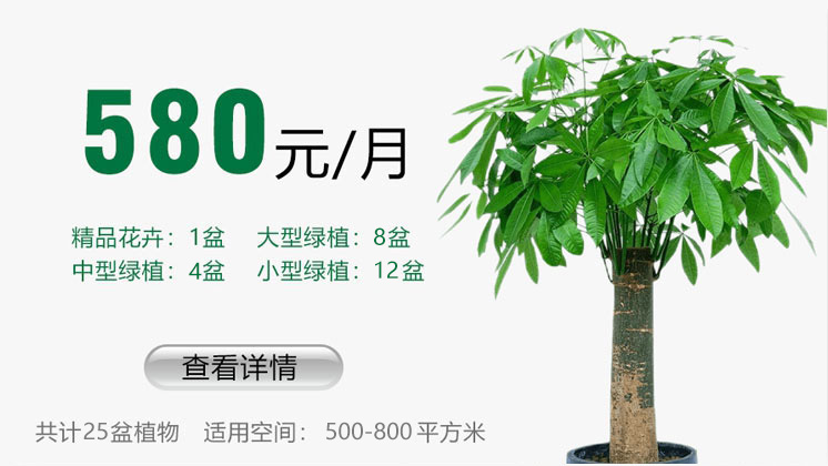 580元套餐