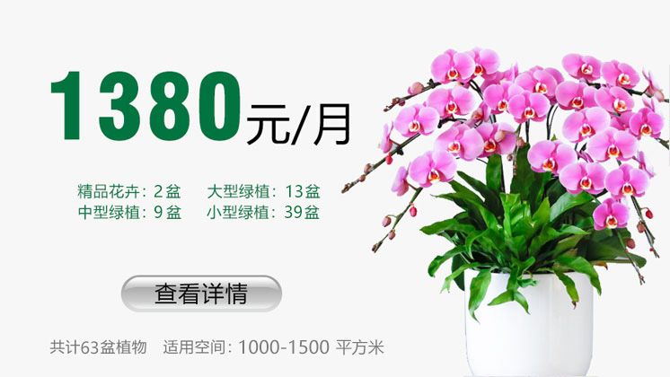 1380元套餐