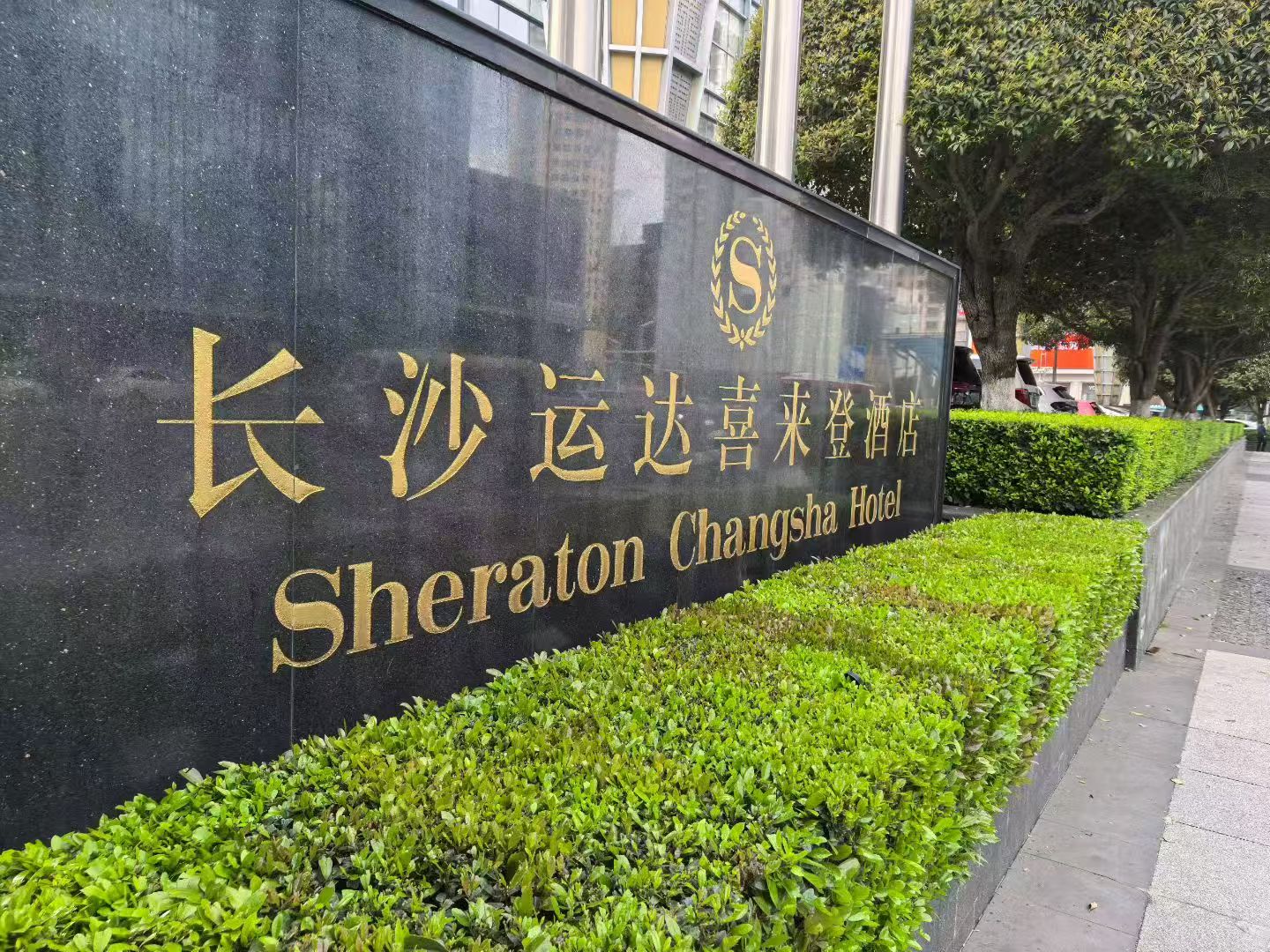 长沙花卉租摆-长沙绿化养护-酒店绿化养护-运达喜来登酒店绿化养护