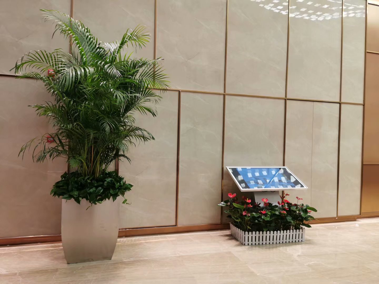 长沙花卉租摆——湖南文化广场 - 长沙花卉租摆-新憧憬园艺